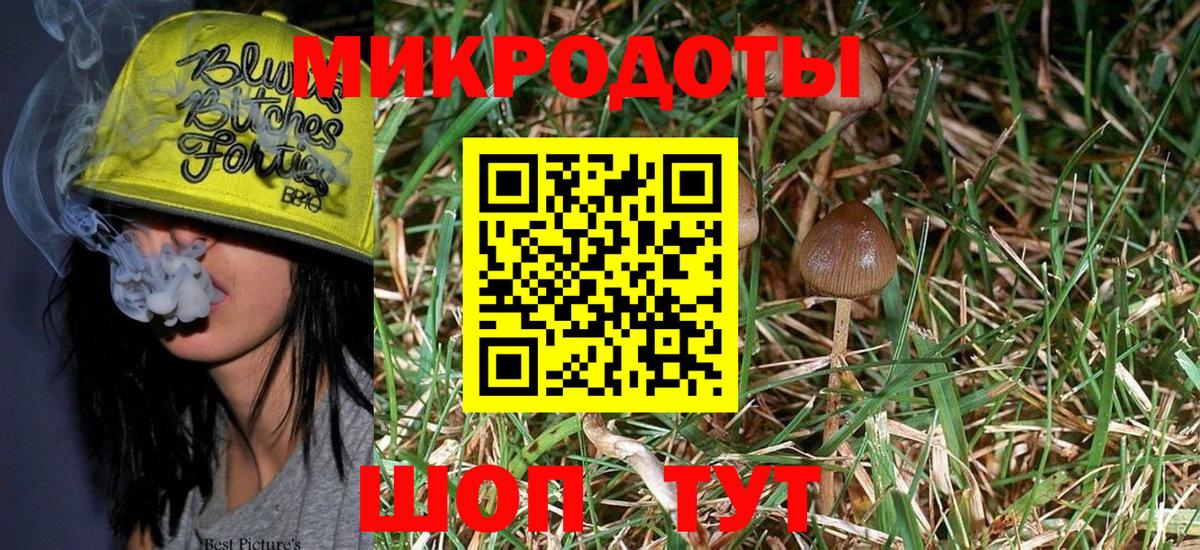 Сызрань  Псилоцибиновые грибы Cubensis  Вход с VPN  Псилоцибиновые грибы Magic Shrooms 