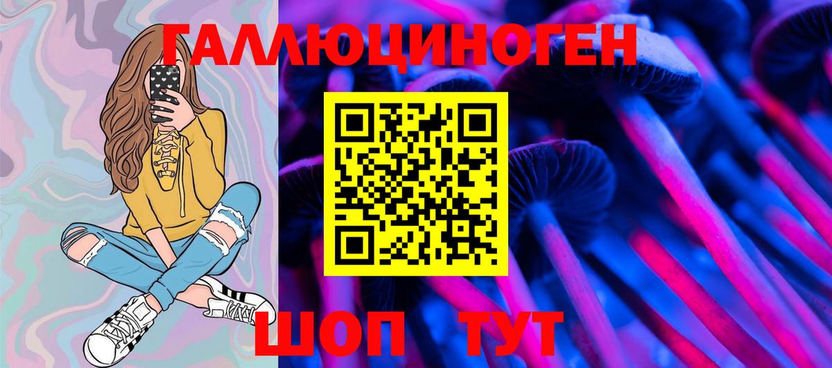 Псилоцибиновые грибы Cubensis Сызрань